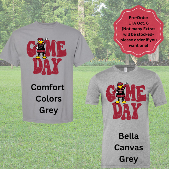 Game Day Gamecocks Tee (Comfort Color)