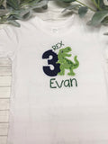 Embroidered Dinosaur Birthday Shirts