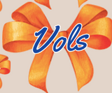 Orange Vols Bow Tee/Sweatshirt/Hoodie