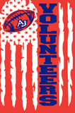 Volunteer Flag Tee/Sweatshirt/Hoodie